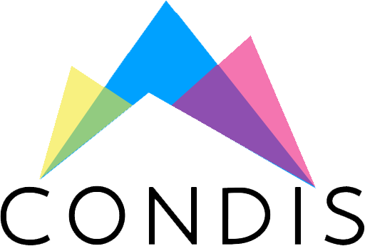 The Original Building Block Sets by CONDIS® Condistoys